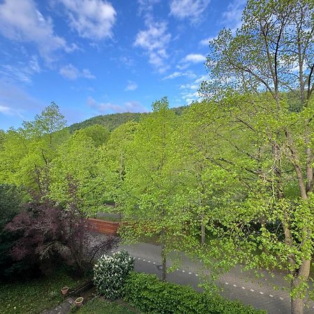 Apartment Villa Elisa Бад Кройцнах Екстериор снимка