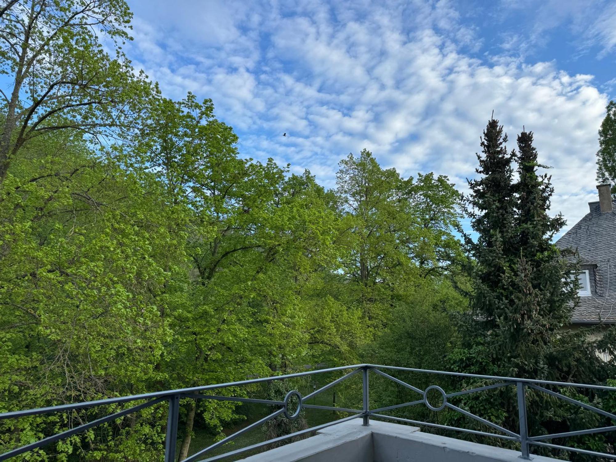 Apartment Villa Elisa Бад Кройцнах Екстериор снимка